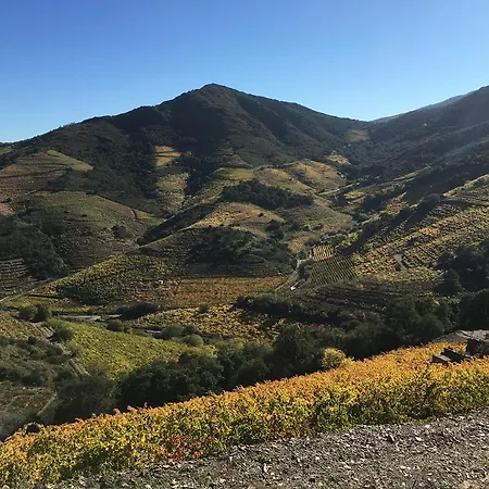 Lägenhet Un Balcon Sur La Port Vendres